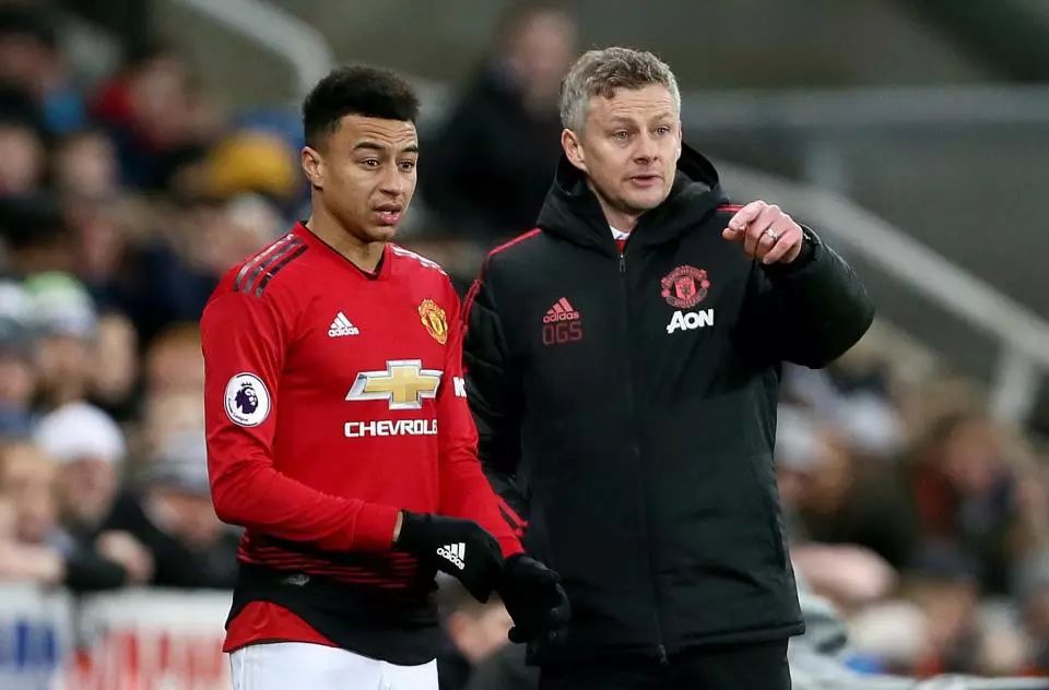 导致场面快 导致场面快